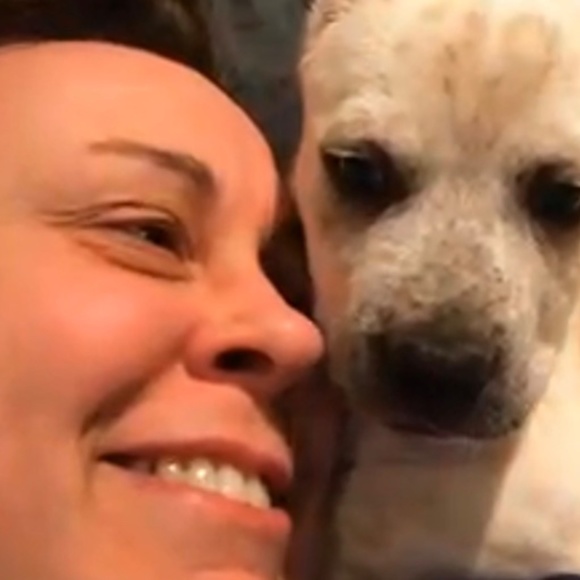 Meet your Posher, Harper - Picture 13 of 13